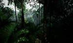Tropical forest pack for game ready - изображение № 5