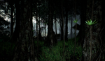 Tropical forest pack for game ready - изображение № 9