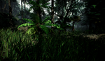 Tropical forest pack for game ready - изображение № 11