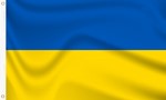 ????????⬆️ПОПОЛНЕНИЕ БАЛАНСА STEAM УКРАИНА UAH\ГРИВНЫ - изображение № 2