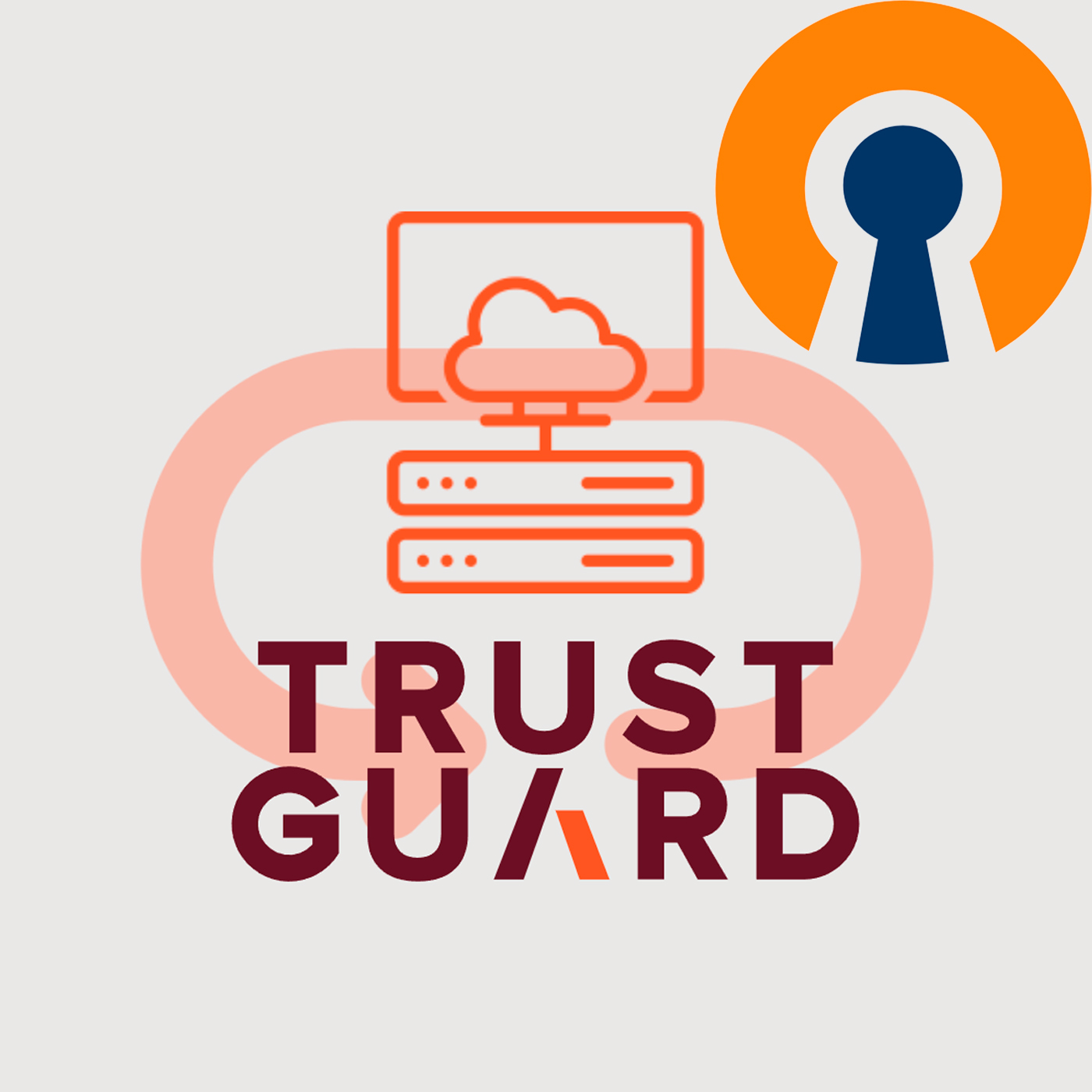 ✅ TrustGuard VPN Амстердам 🚀 OpenVPN Работает в РФ