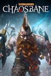 Warhammer: Chaosbane Xbox One & SERIES ключ