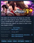 THE KING OF FIGHTERS XIV DELUXE (Steam Key GLOBAL)