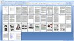 курсовая работа Партизанский маркетинг вPR деятельности