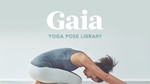 GAIA+ PREMIUM АККАУНТ С ПОДПИСКОЙ НА 3 МЕСЯЦА - изображение № 2