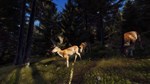 Way of the Hunter +ВЫБОР STEAM GIFT•RU️АВТО 0% КАРТЫ - изображение № 3
