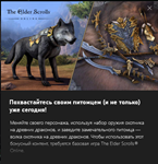 The Elder Scrolls Online: Dragon Slayer Bundle #2 ESO