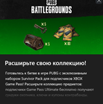 PUBG Эксклюзивный набор выжившего №1