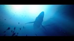 Under The Waves Xbox One & Xbox Series X|S - изображение № 7