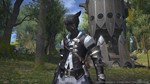 FINAL FANTASY XIV Online - Collector's Xbox Series X|S - изображение № 4