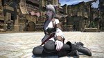 FINAL FANTASY XIV Online - Collector's Xbox Series X|S - изображение № 2