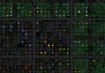 Lifetime CPU Unlock * STEAM РОССИЯАВТОДОСТАВКА - изображение № 6