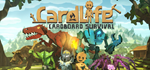 CardLife * STEAM РОССИЯАВТОДОСТАВКА
