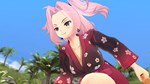 SENRAN KAGURA ESTIVAL VERSUS - Splash Pack DLC - изображение № 3