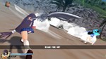SENRAN KAGURA ESTIVAL VERSUS - Ikki Tōsen DLC - изображение № 5