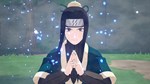 NTBSS: Master Character Training Pack - Haku DLC - изображение № 3