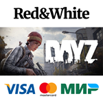 DayZ * STEAM РОССИЯАВТОДОСТАВКА
