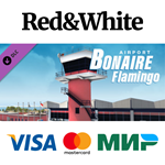 X-Plane 11 - Add-on: Aerosoft - Airport Bonaire Flaming