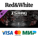 Binding of Isaac: Wrath of the Lamb DLC * STEAM RU