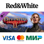 Divinity: Original Sin 2 - Divine Ascension DLC