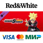 NTBSS: Master Character Training Pack - Boruto Uzumaki