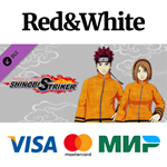 NTBSS: Seventh Hokage Costume (Gender-Neutral) DLC