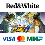 NARUTO SHIPPUDEN: Ultimate Ninja STORM 4 * STEAM RU