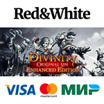 Divinity: Original Sin Enhanced Edition - Collector's E