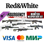 Insurgency: Sandstorm - Hunter Weapon Skin Set DLC