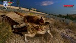 WolfQuest: Anniversary Edition * STEAMАВТОДОСТАВКА - изображение № 5