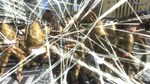 EARTH DEFENSE FORCE 4.1 The Shadow of New Despair - изображение № 6