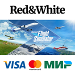 Microsoft Flight Simulator: 40th Anniversary Standard E
