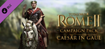 Total War: ROME II - Caesar in Gaul DLC * STEAM RU