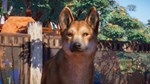 Planet Zoo: Australia Pack DLC * STEAMАВТОДОСТАВКА - изображение № 7