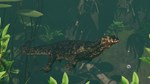 Planet Zoo: Tropical Pack DLC * STEAMАВТОДОСТАВКА - изображение № 7