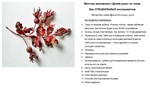 Веточка шиповника «Дикая роза» из ткани. Схема. - изображение № 4
