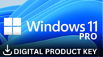 Windows 11 Professional Retail Key