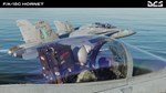 DCS: F/A-18C Hornet DLC | Steam Gift Россия - изображение № 4