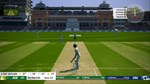 Cricket 19 | Steam Gift Россия - изображение № 2