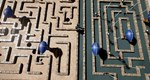 Winexy | Steam Gift Россия - изображение № 2