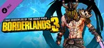 Disciples of the Vault Zane Cosmetic Pack DLC | Steam G