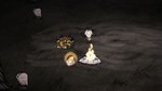Don't Starve Together: Fantasmical ChestАВТОДОСТАВКА S - изображение № 3