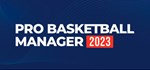 Pro Basketball Manager 2023АВТОДОСТАВКА Steam Россия