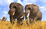Wildlife Park 3АВТОДОСТАВКА Steam Россия - изображение № 2