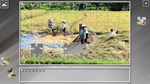 Super Jigsaw Puzzle: Generations - Malaysia DLC - изображение № 4