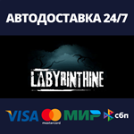 LabyrinthineАВТОДОСТАВКА Steam Россия