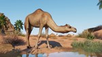 Planet Zoo: Arid Animal Pack DLCАВТОДОСТАВКА Steam - изображение № 2