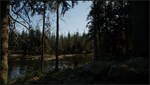 EvergreenАВТОДОСТАВКА Steam Россия - изображение № 2