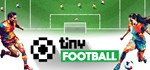Tiny FootballАВТОДОСТАВКА Steam Россия