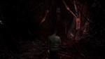 The Frozen GardenАВТОДОСТАВКА Steam Россия - изображение № 3